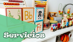 Servicios